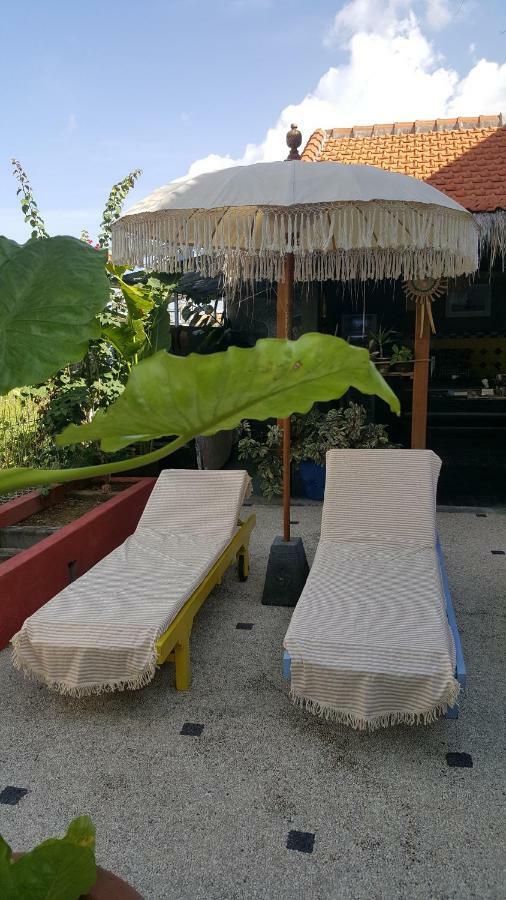 Sunflower Stay And Surf 坎古 外观 照片